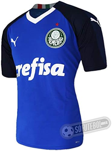 camisa treino goleiro palmeiras puma