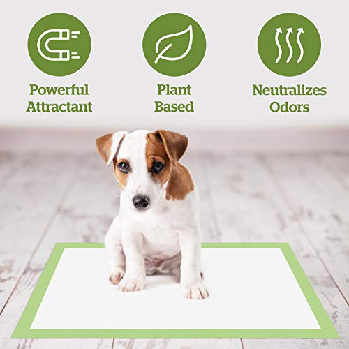 Pogi's Dog Training Pads with Adhesive Sticky Tabs (20Count) (24x24in