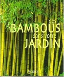 Des  bambous dans votre jardin