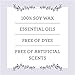 Our Own Candle Company Soy Wax Aromatherapy Candle, Simply Lavender, 6.5 Ounce