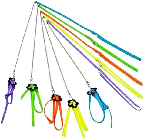 YakeHome Adjustable Harness Traction Belt Traction Rope Strap For Bird African Grey Parrot Macaw Parrot Small Animal Pet Supplies