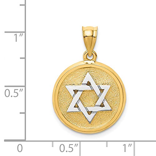 14k Two Tone Gold Back Star Of David Jewish Magen Disc Necklace Charm
