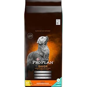 Purina Pro Plan with Probiotics Shredded Blend High Protein, Adult Dry Dog Food Chicken & Rice