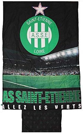 VINTAGE 15CM AS SAINT ETIENNE ASSE FRANCE FOOTBALL ... - eBay
