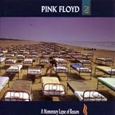 Momentary Lapse of Reason