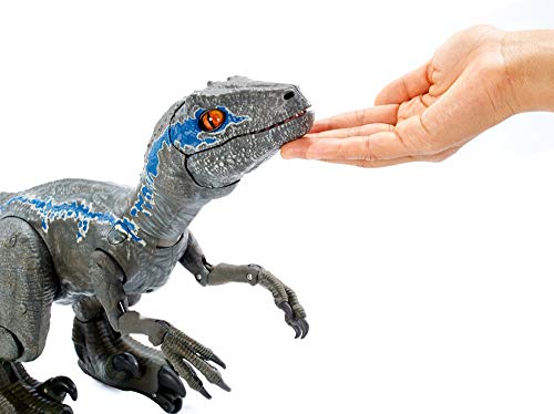 JURASSIC WORLD ALPHA TRAINING BLUE Dinosaur – BLINKEE.COM