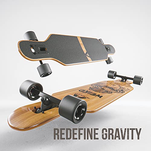 APOLLO Longboard Skateboards Premium Long Boards for Adults, Teens