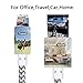 W&O Charger Cable 4 Pack (6Ft, 10Ft, Nylon Braided USB Charger Cord Compatible for iPhone (XR/XS Max/8/Plus/7/Plus/6/6S/5S/Se) Ipad iPod AirPod Nano Fast Charging or Data Syncing (Silver)