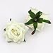 Artificial Flower 6cm Silk Blooming Rose Heads for Wedding Decoration DIY Wreath Scrapbooking Corsage Flowers 7pcs (Burgundy)