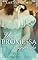 Livro Uma Promessa Esquecida (Os Herdeiros Livro 1)