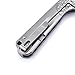 KIZER Cutlery Folding Pocket Knives Flipper Knife Frame Lock Titanium Handles Tactical EDC Knife, Envoy Ki3493