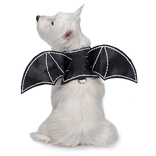 Zack & Zoey Glow-in-the-Dark Bat Wings Harness for Dogs