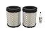 140-3280 Air Filter + Spark Plug for Onan Microlite Propane Generator 3600 4000 QG4000 Micro Quiet Cummins RV QG Generator 4K Genset KVD SPEC. A-B, KY SPEC. B-M，4KY B-P Camp Power MicroLite 48-2017