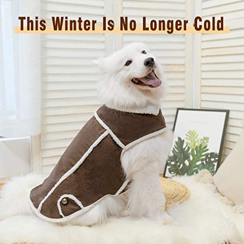 BINGPET Dog Winter Coat Cold Weather Dog Clothes, Windproof Fall