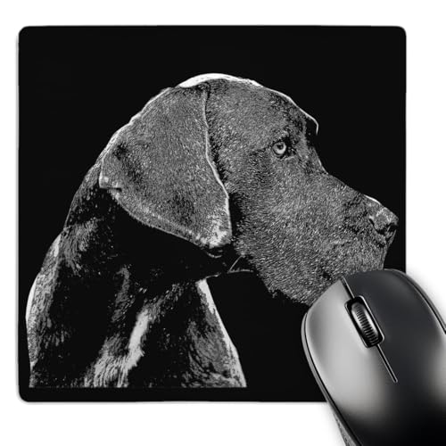 3dRose A Cute Great Dane Dog On Black Background Trendy Side Profile Mouse Pad…