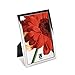 Umbra Senza Metal Picture Frame, 5 by 7-Inch, Chrome