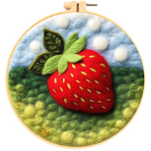 Hlison Strawberries Needle Felting Kit with Vedio Tutorial, Beginner Felting Needle Includes Wool Bag, Felting Needles, Foam Pad, Felt Cloth, Instructions
