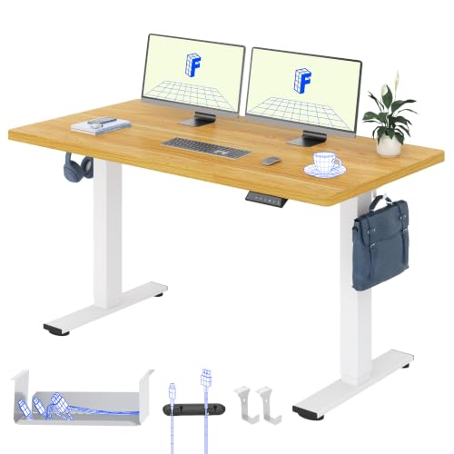 FLEXISPOT Höhenverstellbarer Schreibtisch Basic 160x80cm