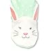The Children's Place Baby-Girls' Sweet Li'l Sleep 'n Play Romper