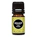 Edens Garden Bergamot 5 ml 100% Pure Undiluted Therapeutic Grade Essential Oil GC/MS Tested