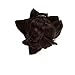 S-noilite Clip in Extensions Human Hair Double Weft 100% Remy Hair Full Head #02 Dark Brown Color Straight Soft Silky Extensions for Women Gift 8pcs 10inch 110g per Package