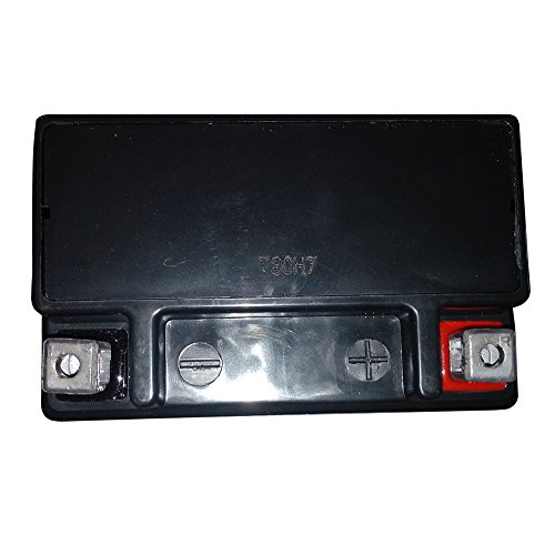 YTX4L-BS Maintenance Free Sealed AGM Motorcycle Battery 12V-3Ah