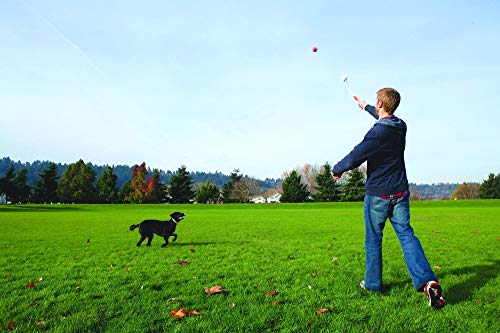5 Chuckit+Classic+Launcher+Thrower+Assorted