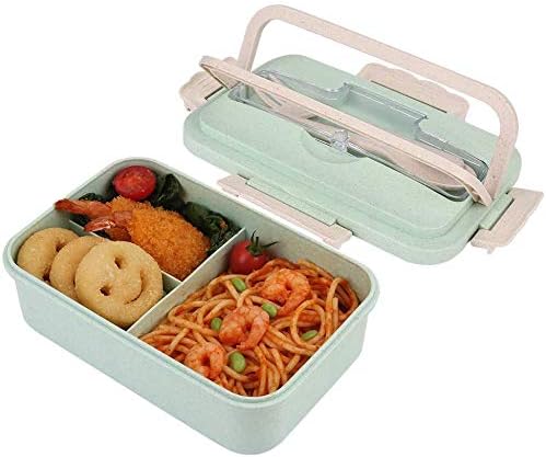 eco friendly lunch box for adults