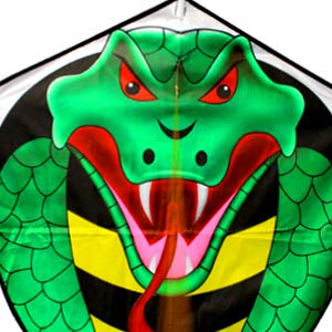 2 Large+Cobra+Adults+Super+Dominate