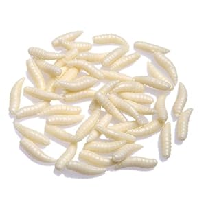Sodial 50pcs 2cm Leurre De Peche Mouche Ver Leurres Souples Vers Ivoire