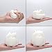 WATINC 5 Pcs DIY Forest Animals Squishy, Woodland Creatures Theme Jumbo Creamy Kawaii Soft Squishy Hand Toys for Kids for Education Toys