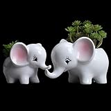 Ogrmar 2PCS Elephant Plant Window Boxes Cute Elephant Flower Pot/Modern White Ceramic Succulent Planter Pots/Tiny Flower Plant Containers Animal Decor