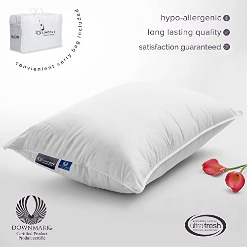 Lincove Signature 100 Natural Canadian White Down Luxury Sleeping