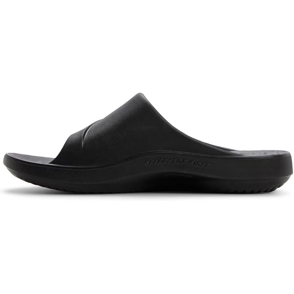 Amazon.com | Sperry Men display picture 1