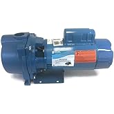 Goulds Water Technology Cast Iron 1/2 HP Centrifugal Pump 115/230V 2BF40512-1 Each