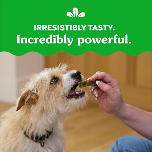 GREENIES DOG TREATS VETERINARIAN-RECOMMENDED NATURAL DENTAL TREATS FOR DOGS, TEENIE SIZE, VARIETY PACK FLAVOR, (3) 12 OZ. PACKS, 130 COUNT