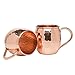 Advanced Mixology Moscow Mule Copper Mugs - 100% Pure Copper, 16 Ounce Set of 4 with 4 Artisan Hand Crafted Wooden Coasters