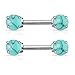 Semi Precious Stone Prong Set Nipple Bars Barbells Rings - 14G 316L Stainless Steel - Sold as a Pair (Turquoise)