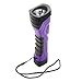 Dorcy 190-Lumen CyberLight Durable LED Flashlight with True Spot Reflector, Purple (41-4752)