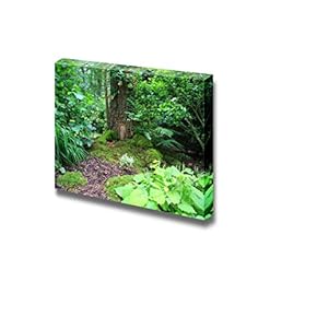 Canvas Prints Wall Art - Little Fairy Tale Door in a Tree Trunk. - 12" x 18"