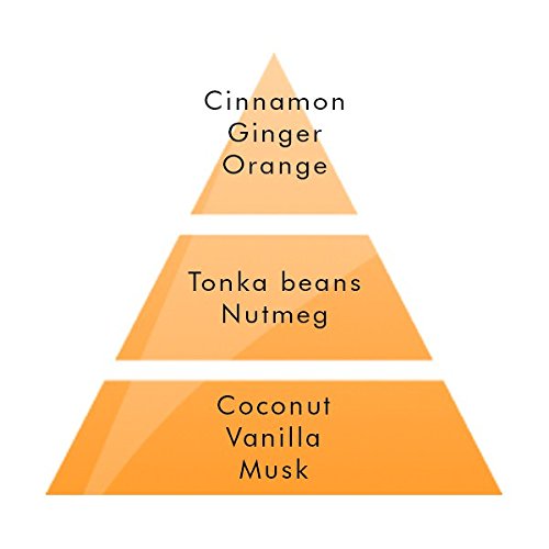Lampe Berger Fragrance - Orange Cinnamon Oil - 33.8 Ounce with FREE Funnel - Thumbnail 3