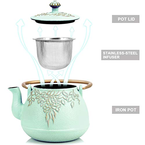 Cast Iron Teapot,Tea kettle cast iron,Tea pot with infusers for loose