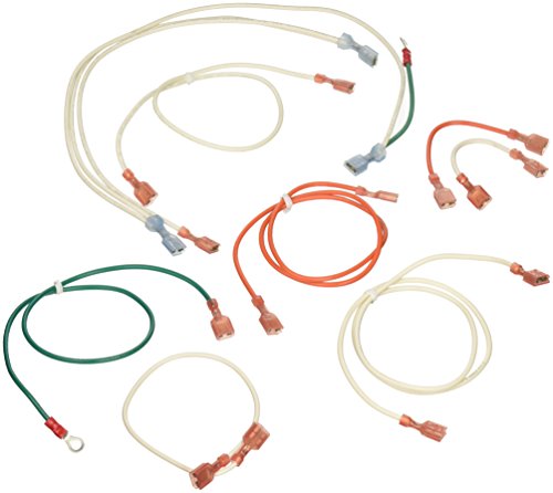 Pentair 471202 DSI Wiring Replacement Kit MiniMax 100 Pool and Spa Heater