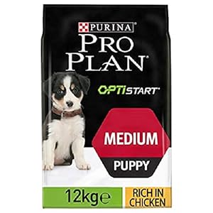 Purina Pro Plan Healthy Start Puppy Medium, Pienso para Perro Mediano, Cachorro, Junior, Bebé, comida seca con Pollo, 1 saco de 12kg