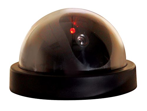 Eagle Dummy Dome Surveillance Camera