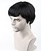 Dreamworld Fashion Men's Short Layered Wig (Model: Jf010471) (Black)
