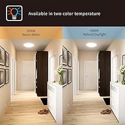 DYMOND LED Ceiling Light Flush Mount 10 Inches