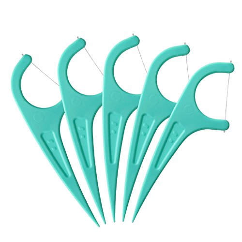 FAMILIFE 60 Counts Mint Dental Floss Pick with Travel Handy Case Strong thread Threaders