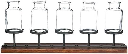 DCC Set of 5 Clear Glass Jars with Wooden Pedestal Base