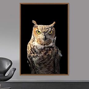 signwin Framed Canvas Wall Art Owl Birds Dramatic...